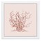 12" x 12" Pink Coral II Framed Wall Art, Contemporary Nature Home Décor, Glass Facing and Hanging Hardware Included